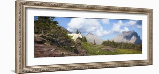Mountain Goat on the Hillside. Glacier National Park, Montana, USA.-Tom Norring-Framed Photographic Print