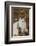 Mountain Goat Portrait-Ken Archer-Framed Photographic Print