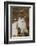 Mountain Goat Portrait-Ken Archer-Framed Photographic Print