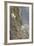 Mountain Goats, Kongakut River, ANWR, Alaska, USA-Tom Norring-Framed Photographic Print