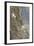 Mountain Goats, Kongakut River, ANWR, Alaska, USA-Tom Norring-Framed Photographic Print