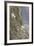 Mountain Goats, Kongakut River, ANWR, Alaska, USA-Tom Norring-Framed Photographic Print