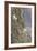 Mountain Goats, Kongakut River, ANWR, Alaska, USA-Tom Norring-Framed Photographic Print