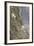 Mountain Goats, Kongakut River, ANWR, Alaska, USA-Tom Norring-Framed Photographic Print