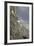 Mountain Goats, Kongakut River, ANWR, Alaska, USA-Tom Norring-Framed Photographic Print