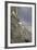 Mountain Goats, Kongakut River, ANWR, Alaska, USA-Tom Norring-Framed Photographic Print