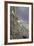 Mountain Goats, Kongakut River, ANWR, Alaska, USA-Tom Norring-Framed Photographic Print