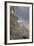 Mountain Goats, Kongakut River, ANWR, Alaska, USA-Tom Norring-Framed Photographic Print