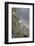 Mountain Goats, Kongakut River, ANWR, Alaska, USA-Tom Norring-Framed Photographic Print