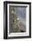 Mountain Goats, Kongakut River, ANWR, Alaska, USA-Tom Norring-Framed Photographic Print