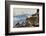 Mountain Goats, Mount Evans, Colorado, USA-null-Framed Photographic Print