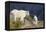 Mountain Goats, nanny and kid-Ken Archer-Framed Premier Image Canvas