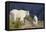 Mountain Goats, nanny and kid-Ken Archer-Framed Premier Image Canvas