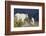 Mountain Goats, nanny and kid-Ken Archer-Framed Photographic Print