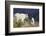 Mountain Goats, nanny and kid-Ken Archer-Framed Photographic Print