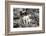 Mountain Goats on Comeau Pass Trail, Glacier National Park, Montana-Alan Majchrowicz-Framed Photographic Print