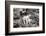 Mountain Goats on Comeau Pass Trail, Glacier National Park, Montana-Alan Majchrowicz-Framed Photographic Print