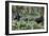 Mountain Gorilla Family Group-Tony Camacho-Framed Photographic Print