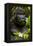 Mountain gorilla (Gorilla beringei beringei), Bwindi Impenetrable Forest, Uganda, Africa-Ashley Morgan-Framed Premier Image Canvas