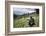 Mountain gorilla silverback on boundary wall, Rwanda-Christophe Courteau-Framed Photographic Print