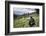 Mountain gorilla silverback on boundary wall, Rwanda-Christophe Courteau-Framed Photographic Print