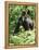 Mountain Gorilla with Baby on Back-Adrian Warren-Framed Premier Image Canvas