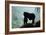 Mountain Gorilla-Adrian Warren-Framed Photographic Print