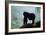 Mountain Gorilla-Adrian Warren-Framed Photographic Print