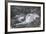 Mountain Hare (Lepus Timidus), Scottish Highlands, Scotland, United Kingdom, Europe-David and Louis Gibbon-Framed Photographic Print