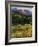 Mountain High-Tim O'toole-Framed Giclee Print