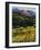 Mountain High-Tim O'toole-Framed Giclee Print