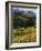 Mountain High-Tim O'toole-Framed Giclee Print