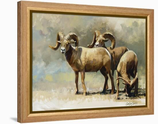 Mountain High-Carolyne Hawley-Framed Stretched Canvas