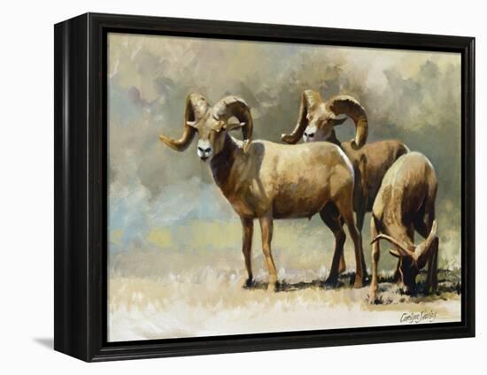 Mountain High-Carolyne Hawley-Framed Stretched Canvas