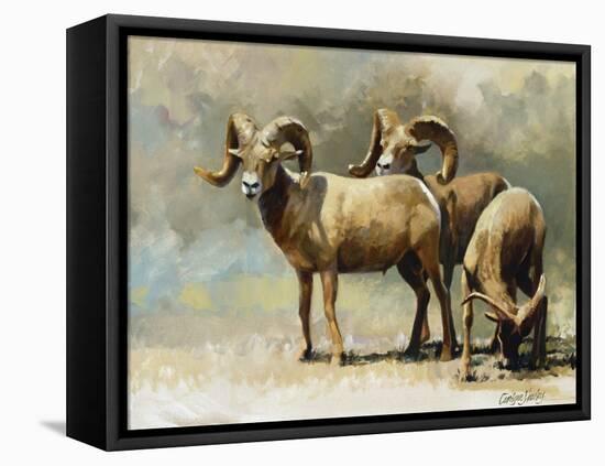 Mountain High-Carolyne Hawley-Framed Stretched Canvas