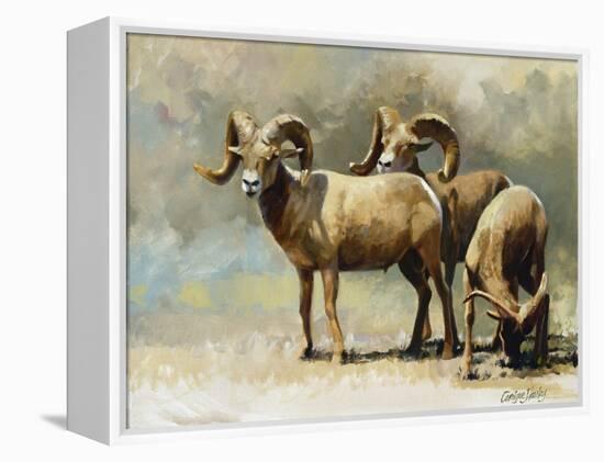 Mountain High-Carolyne Hawley-Framed Stretched Canvas