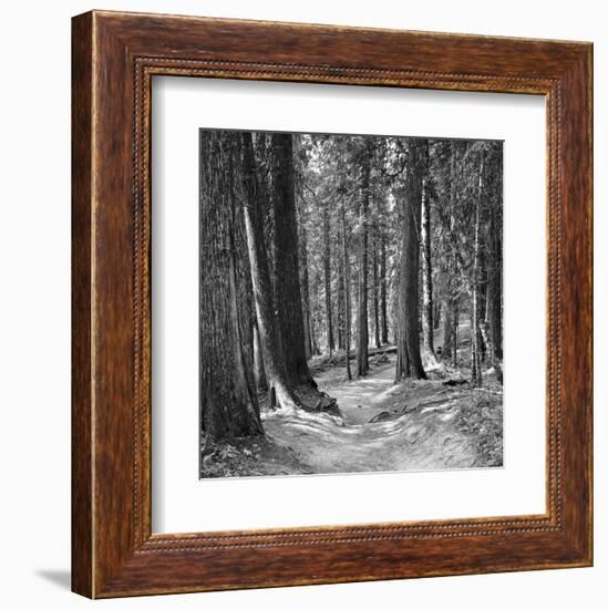 Mountain Hike-Erin Clark-Framed Art Print