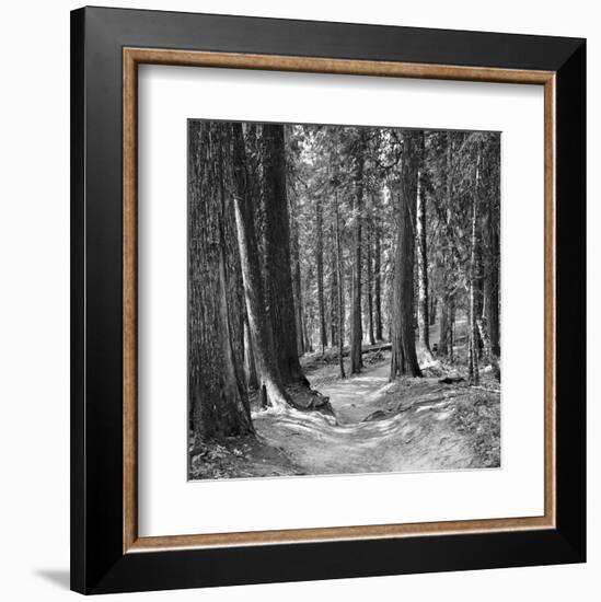 Mountain Hike-Erin Clark-Framed Art Print