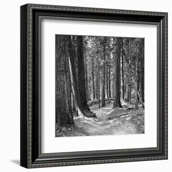 Mountain Hike-Erin Clark-Framed Art Print