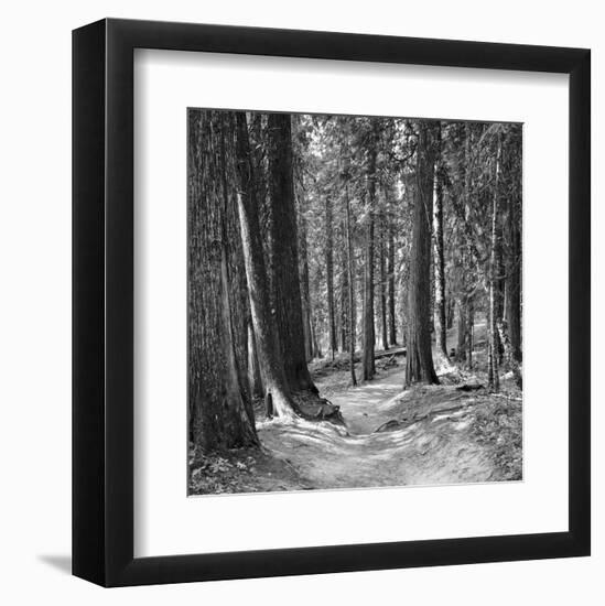 Mountain Hike-Erin Clark-Framed Art Print