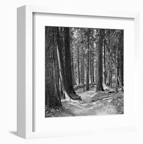 Mountain Hike-Erin Clark-Framed Art Print