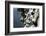 Mountain IV-K.B. White-Framed Photographic Print