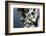 Mountain IV-K.B. White-Framed Photographic Print