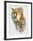 Mountain King-Barbara Keith-Framed Giclee Print