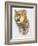 Mountain King-Barbara Keith-Framed Giclee Print