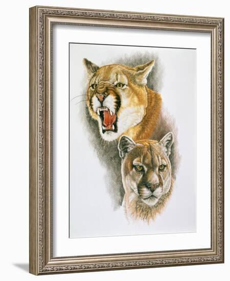 Mountain King-Barbara Keith-Framed Giclee Print