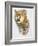 Mountain King-Barbara Keith-Framed Giclee Print