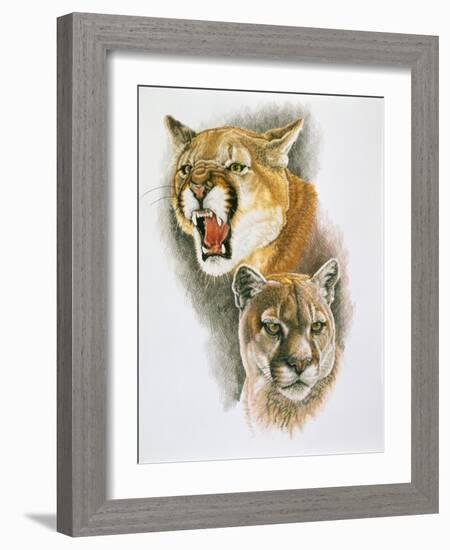 Mountain King-Barbara Keith-Framed Giclee Print