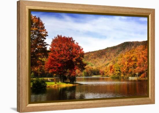 Mountain Lake Autumn-Alan Hausenflock-Framed Premier Image Canvas