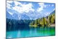 Premium Photographic Print